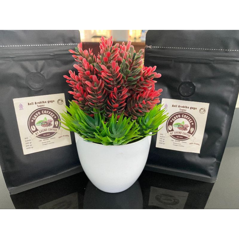 

Kopi Arabika asli gayo