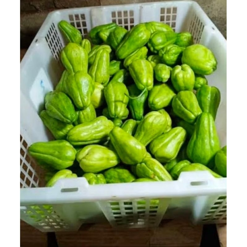 

buah lanu siam muda segar 500grm