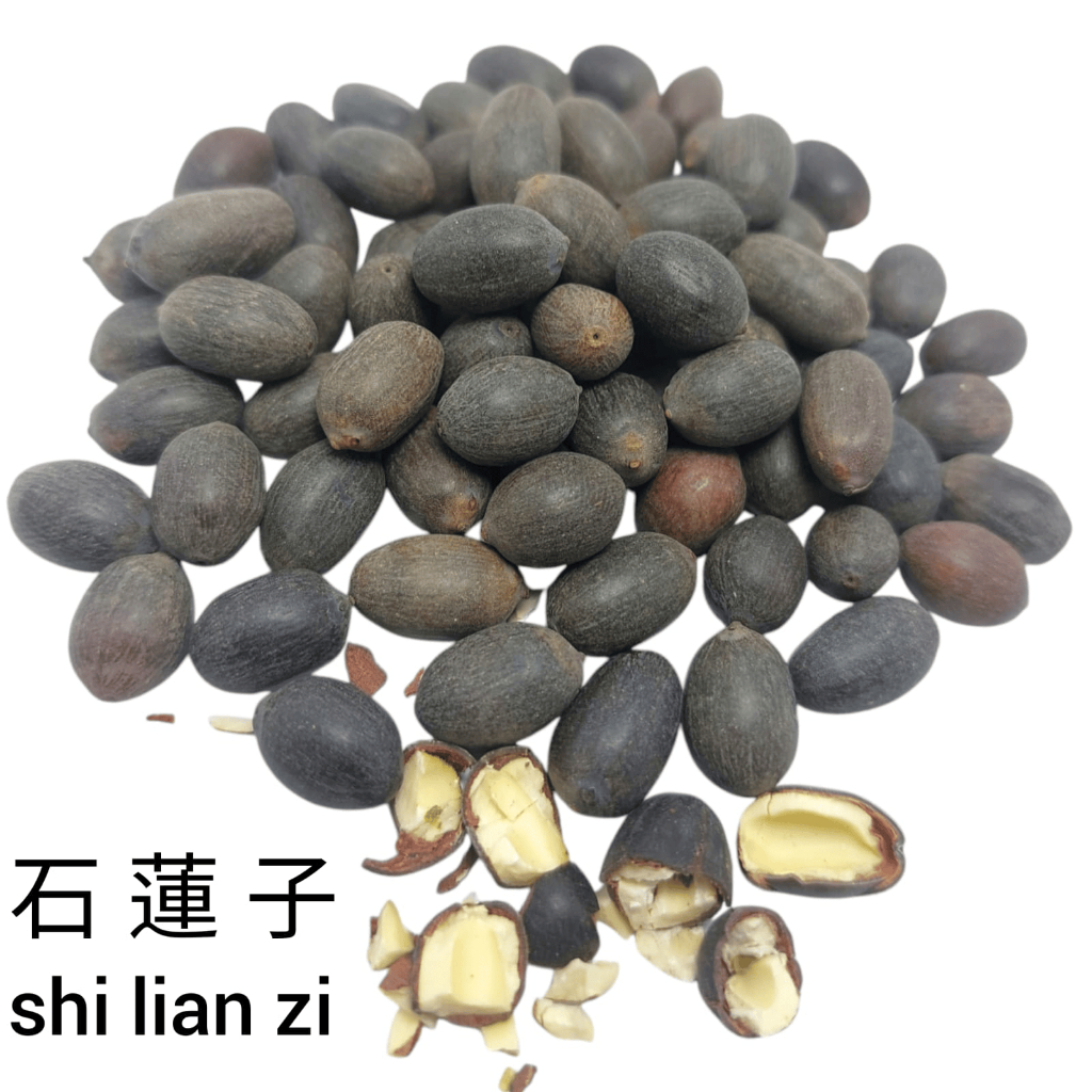 

Shi Lian Zi 石莲子 Echeveria / Biji Teratai Batu