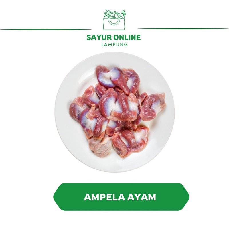 

Ampela Ayam Segar /Fres 500 gr - Sayur Online Lampung