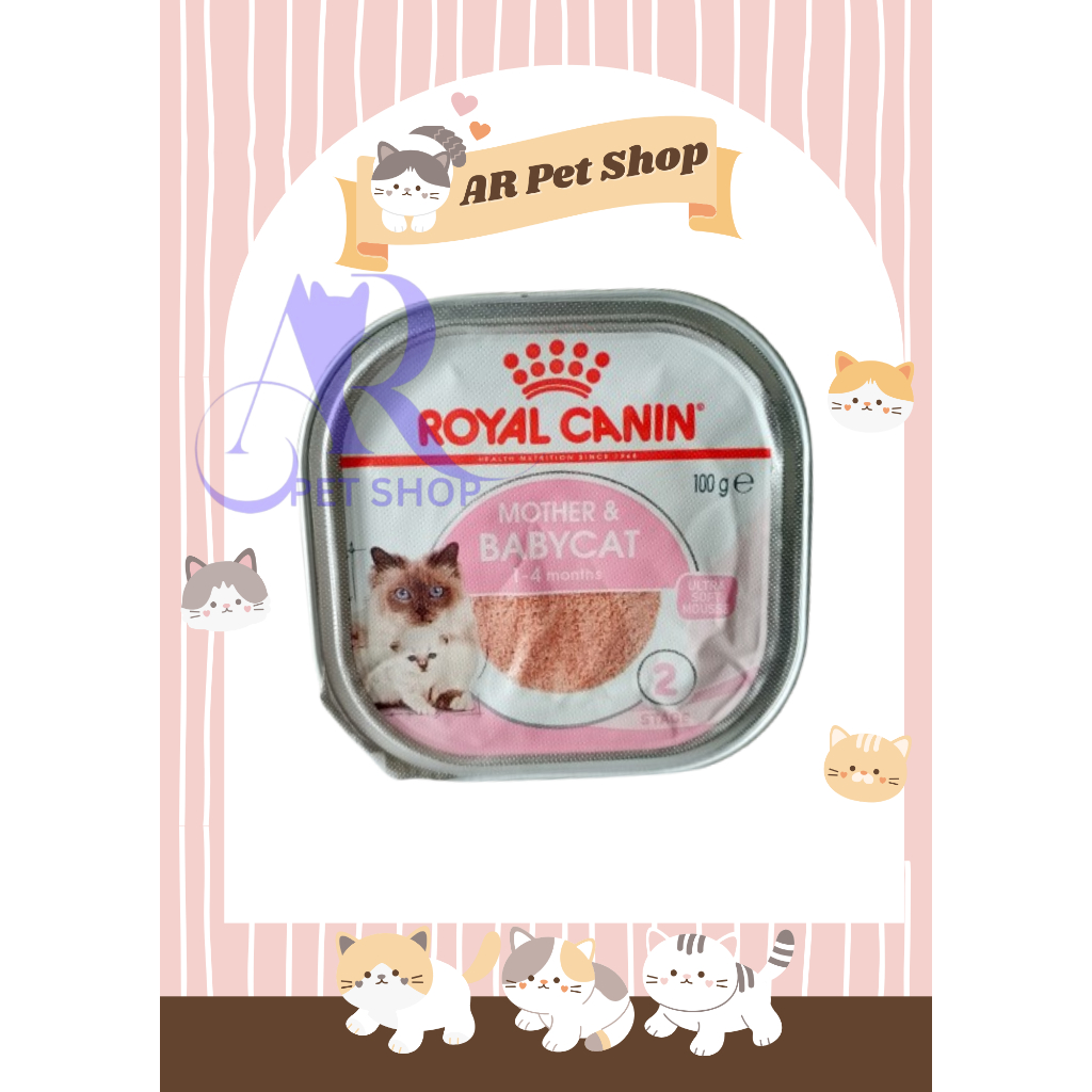 royal canin mother and baby cat