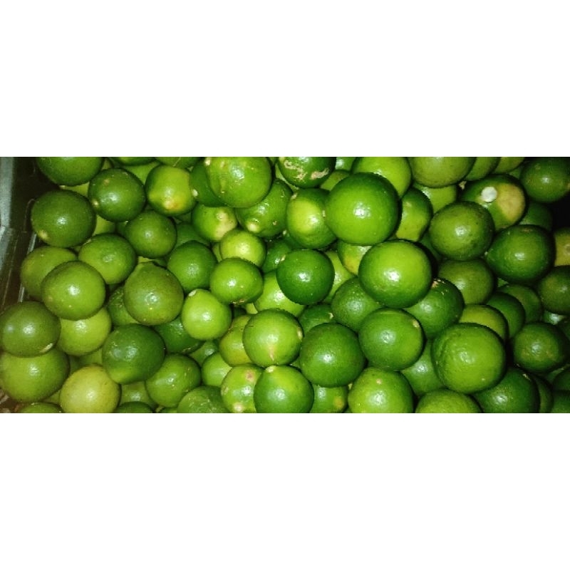 

Jeruk Nipis/ Asam Kapeh/ harga untuk 500 gr