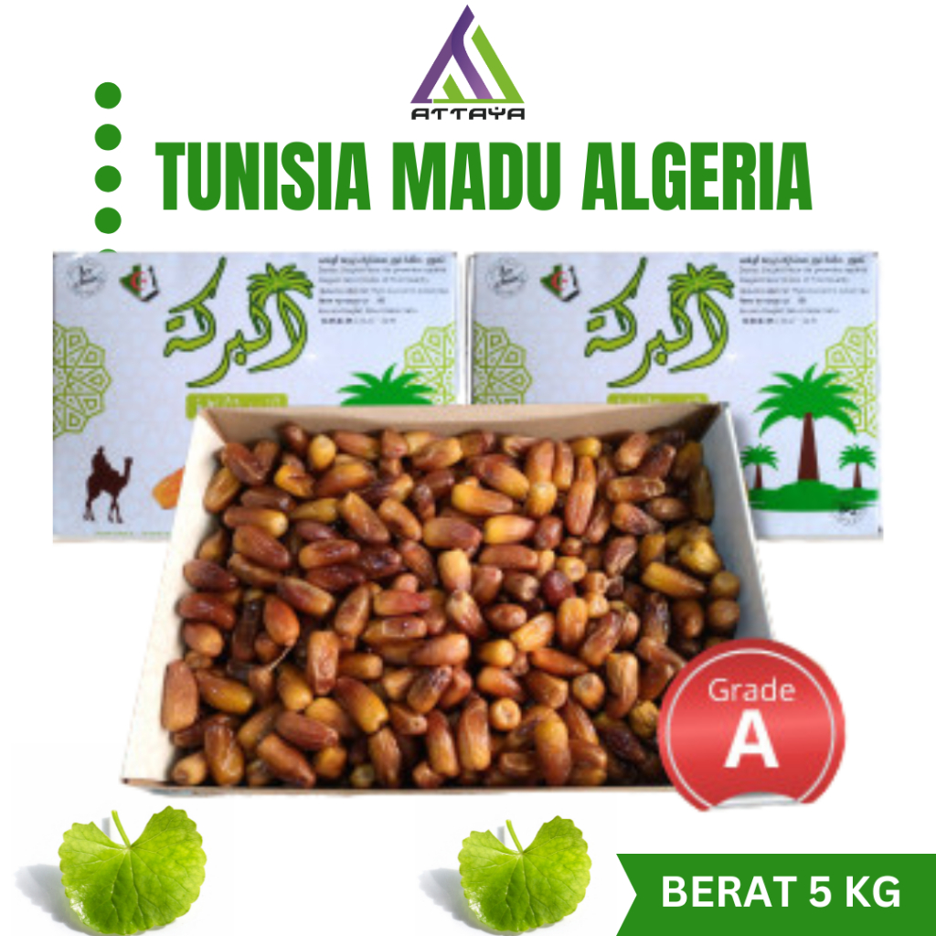 

Fresh Kurma Tunisia Madu 5 Kg Premium Deglet Nour