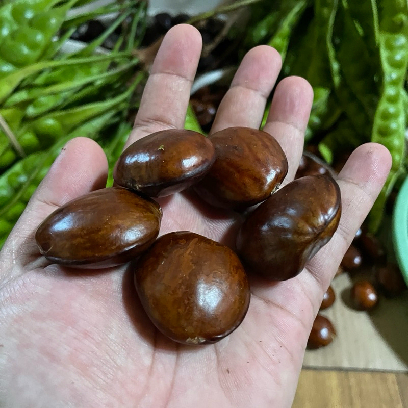 

JENGKOL SUPER TUA PULEN 1 KG