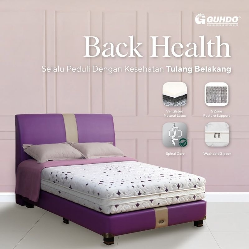 1SET GUHDO BACK HEALTH LATEX SPRING ORTHOPEDIC