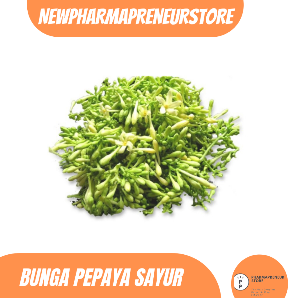 

DRIED SERBUK BUNGA PEPAYA SAYUR BEST QUALITY