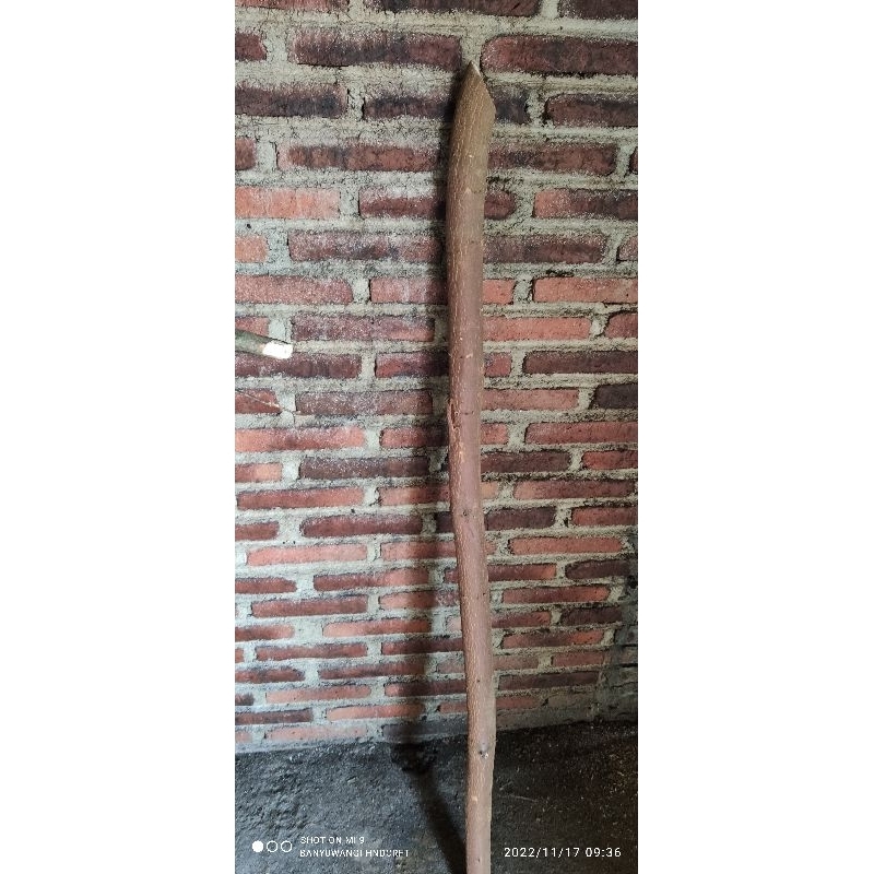 kayu Bidara bahan tongkat