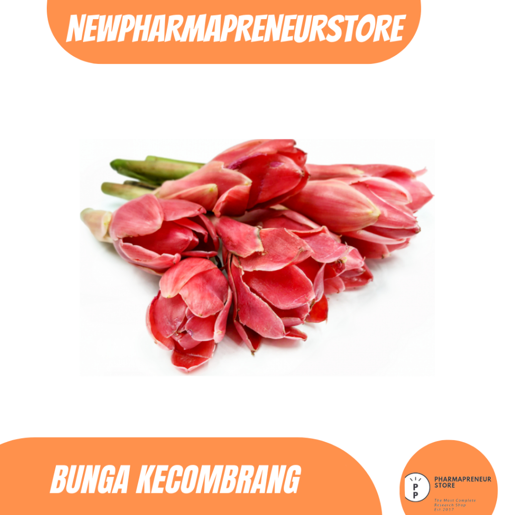 

DRIED SERBUK BUNGA KECOMBRANG BEST QUALITY