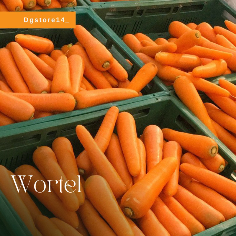 

WORTEL FRESH / Wortel Segar siap kirim Bandung