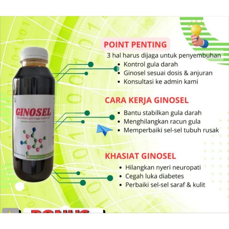 

Madu Minuman Ginosel 500gr ORIGINAL|| Untuk Masalah Neuropati Diabet