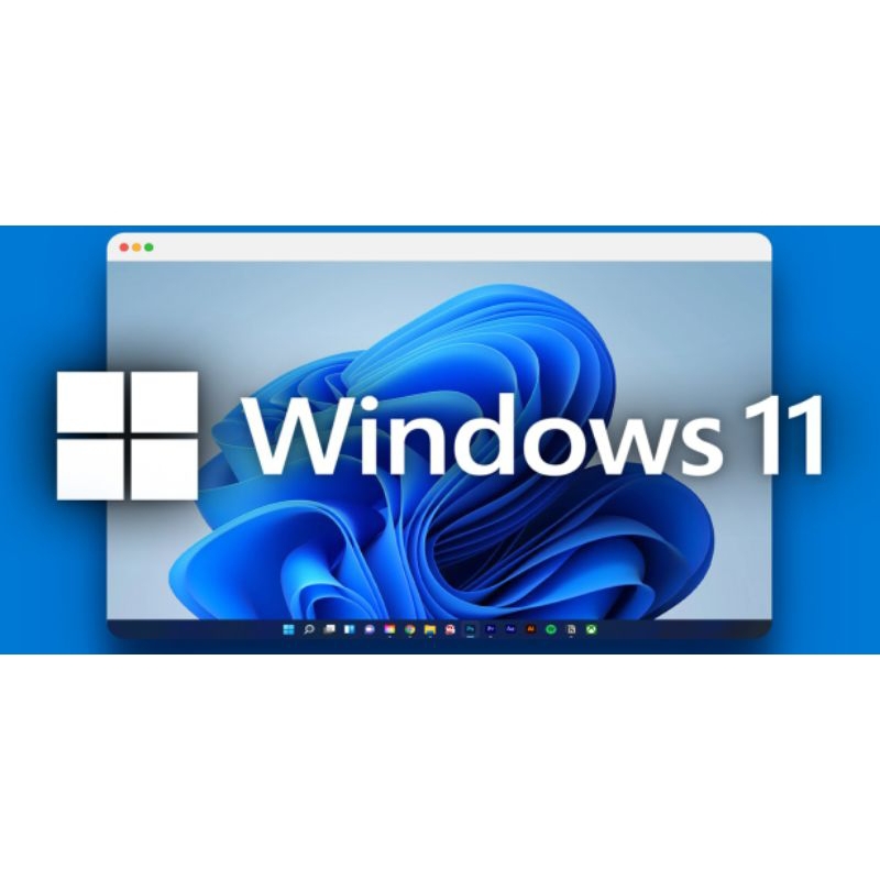 Microsoft WINDOWS 11 Pro ORI
