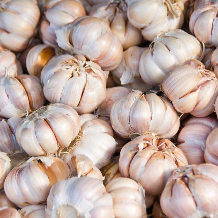 

BAWANG PUTIH BERSIH BERAT 1 KG