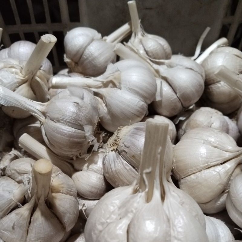 

1 kg paket 500 gr bawang merahcampur+bawang kating kotor 500 gr.