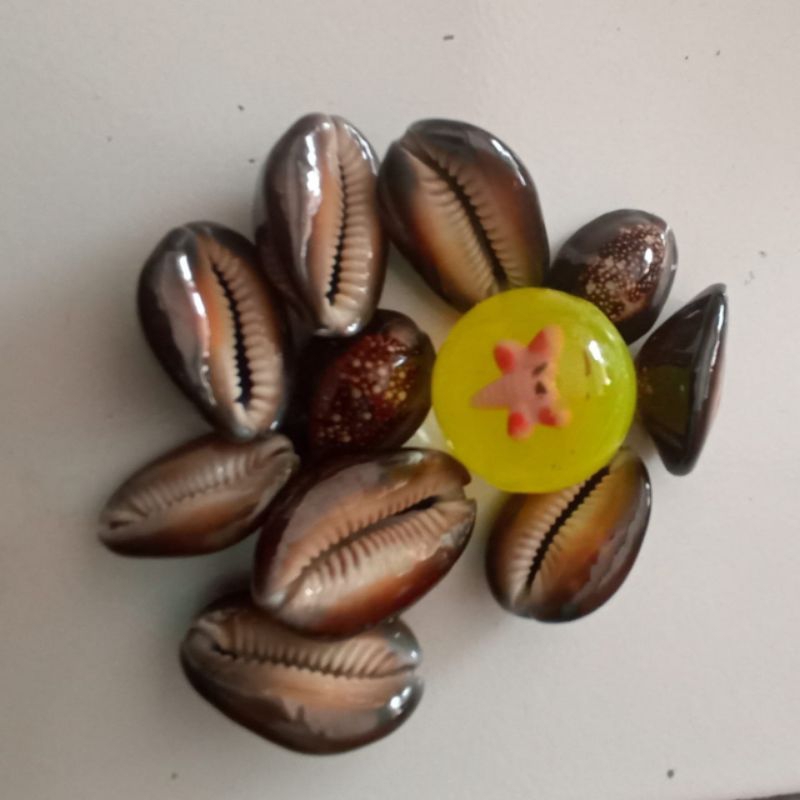 Set Bekel Kerang Hitam Mainan Tradisional Anak