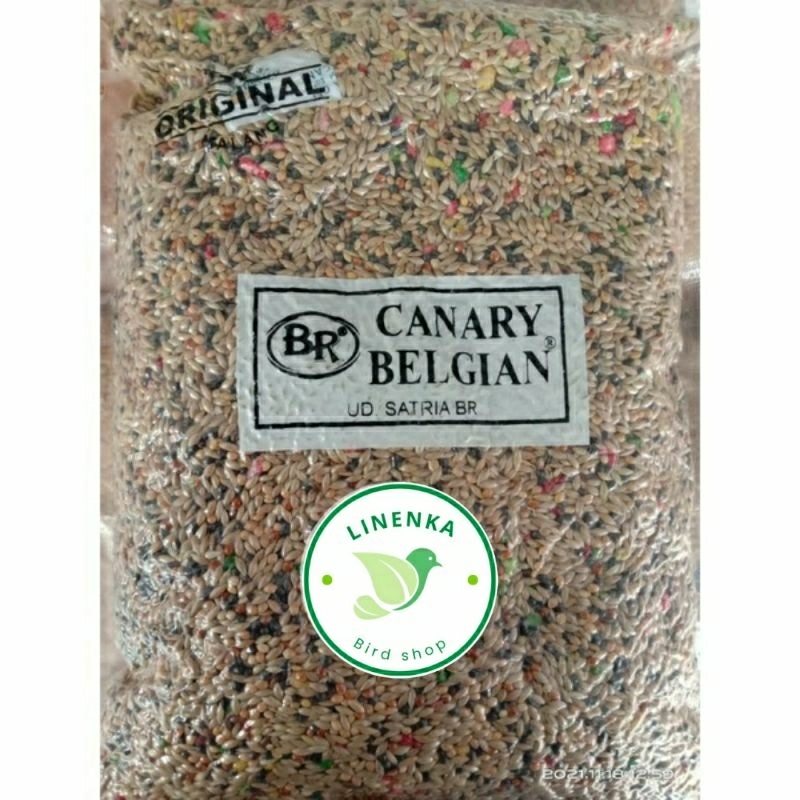 PAKAN KENARI BERKUALITAS CANARY BELGIAN