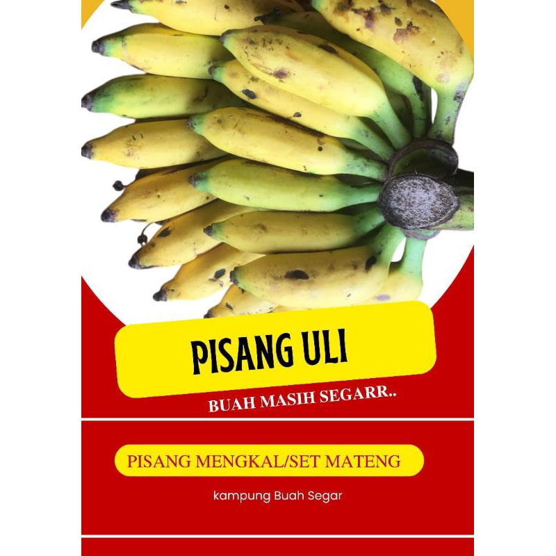 

Pisang Uli Kampung Buah Segar Mengkal Set Mateng 1kg