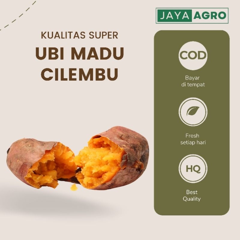 

Ubi Madu Cilembu 1KG TERMURAH panjang sedang halus COD