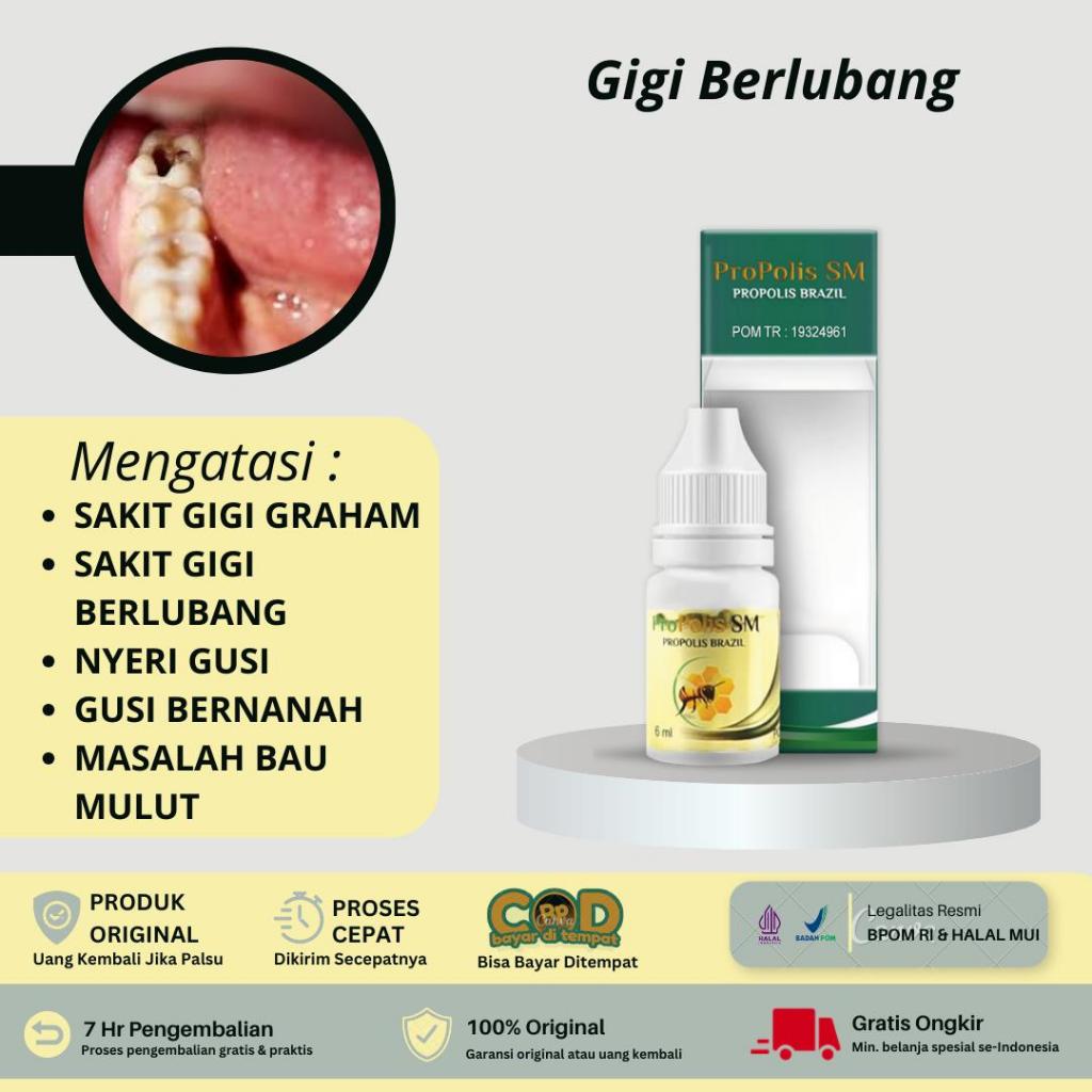 Propolis SM - Gigi Berlubang, Perontok Akar Gigi, Pencabut Gigi, Perontok Gigi Berlubang Mulut Hitam