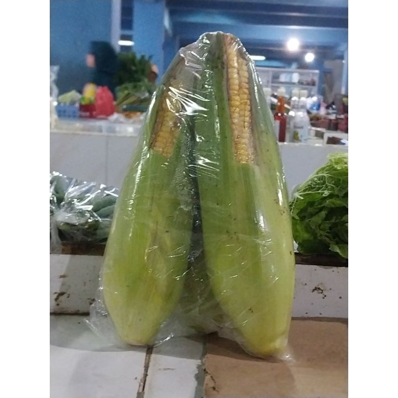 

jagung manis/sayur jagung/sayur jagung manis/jagung manis