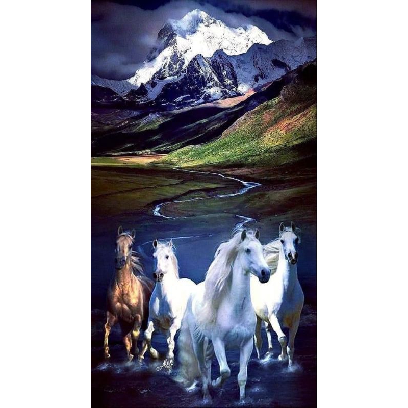 hiasan dingding poster jumbo ready kuda05 terkini