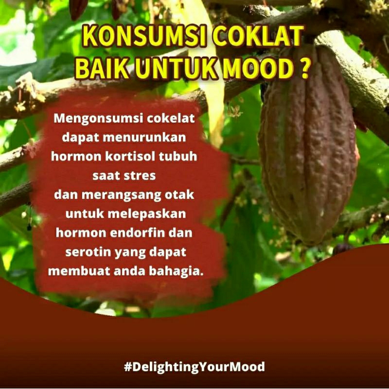 

Ukf5Pc6F4H (Kuliner.Kita) Sweet Kokona Drinking Chocolate / Bubuk Minuman Cokelat / Coklat Amanda