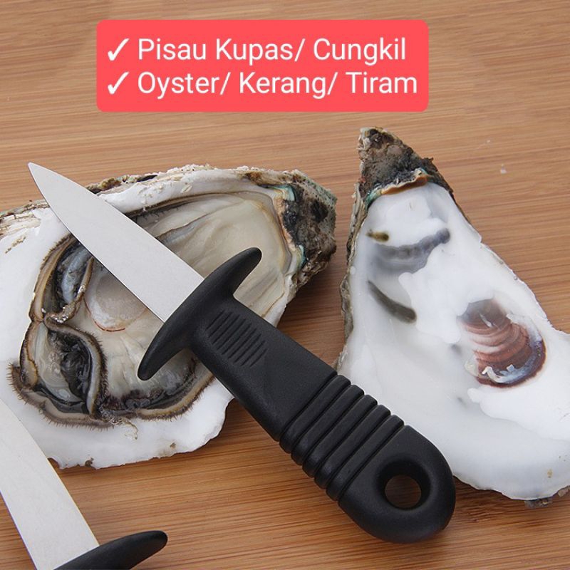 PISAU KUPAS CUNGKIL Oyster Kerang Tiram/ Pisau Serbaguna Kupas Cungkil