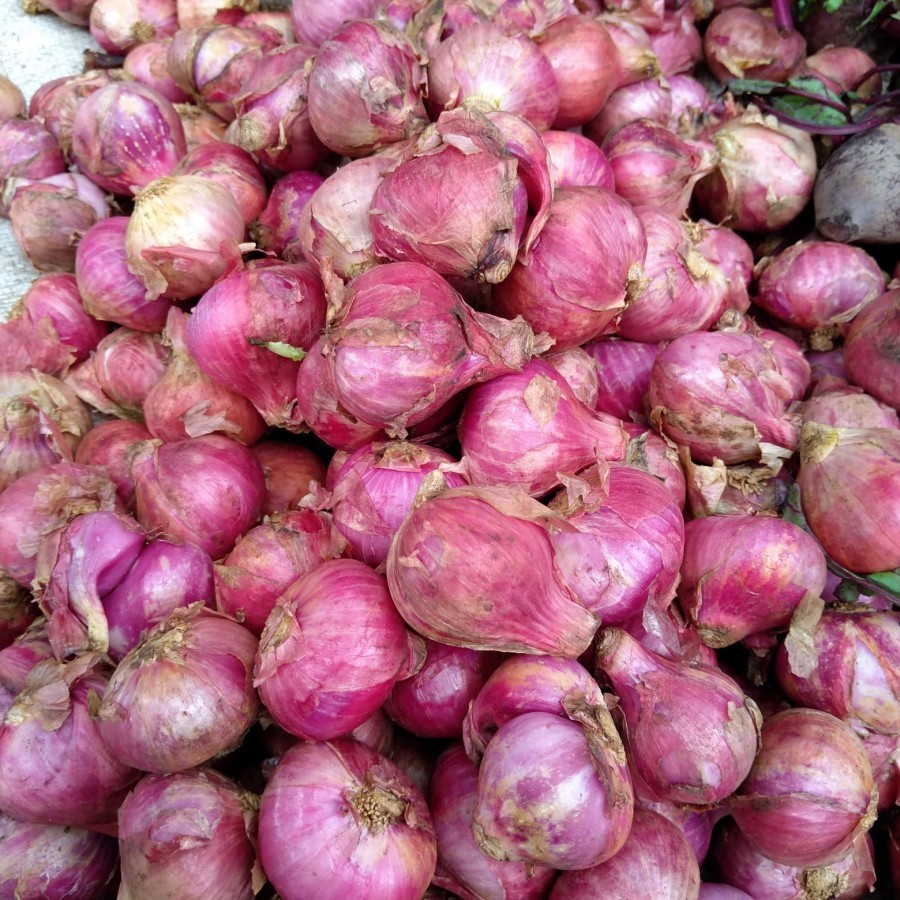 

Bawang Merah Batu Lokal Bumbu dapur