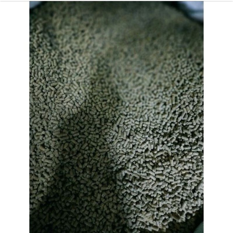 Pur Burung Voer Hijau Pakan Burung 521 Eceran kiloan