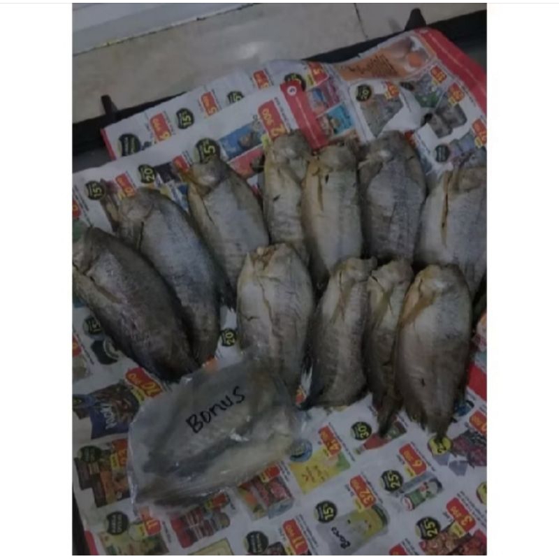 

Ikan asin sepat Siam/ikan asin asli sawah air tawar ikan asin asli palembang