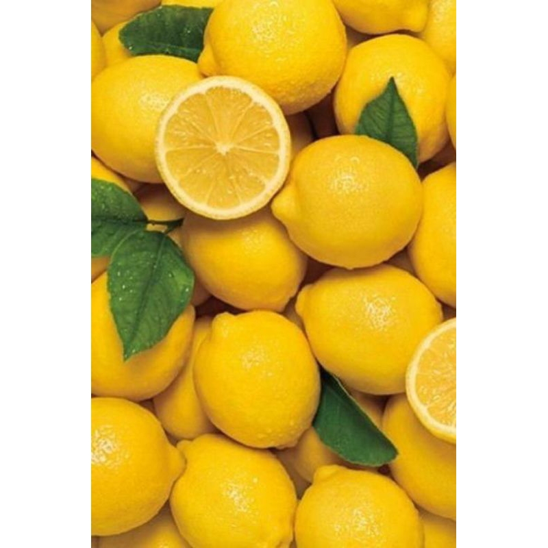 

Jeruk lemon segar 1kg