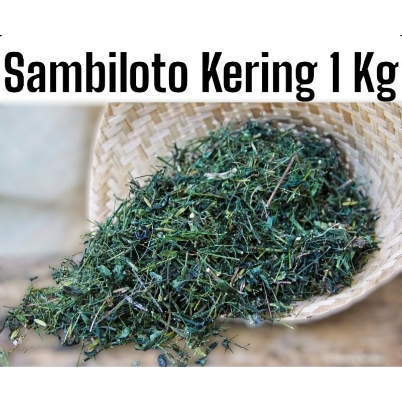 

Daun Sambiloto Kering 1 kg