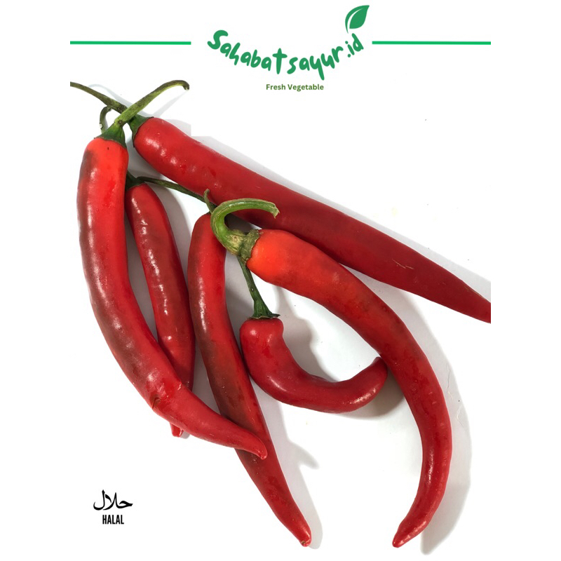 

Cabe merah besar Segar 250gr-1kg -Surabaya