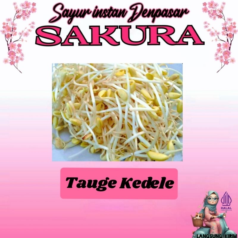 

Kecambah kedele (cambah/tauge/toge) _ SAKURA