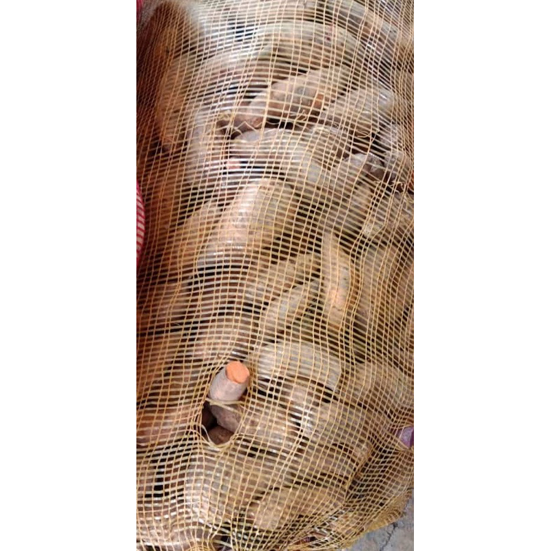 

telo madu pacet // ubi orens // ubi madu // ubi pacet // telo madu oren pacet manis punel