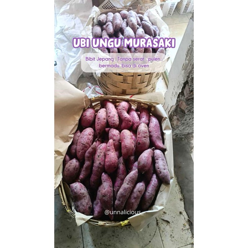 

Ubi Ungu Murasaki ( per kg )