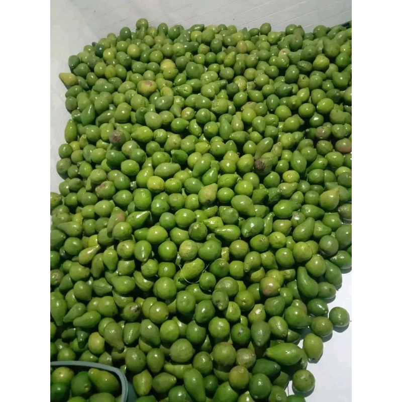 

Alpukat Mentega ukuran 678