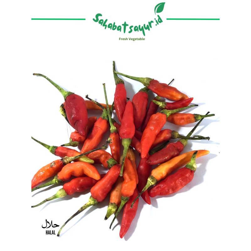 

Cabe rawit 100gr-500gr Fresh - Surabaya