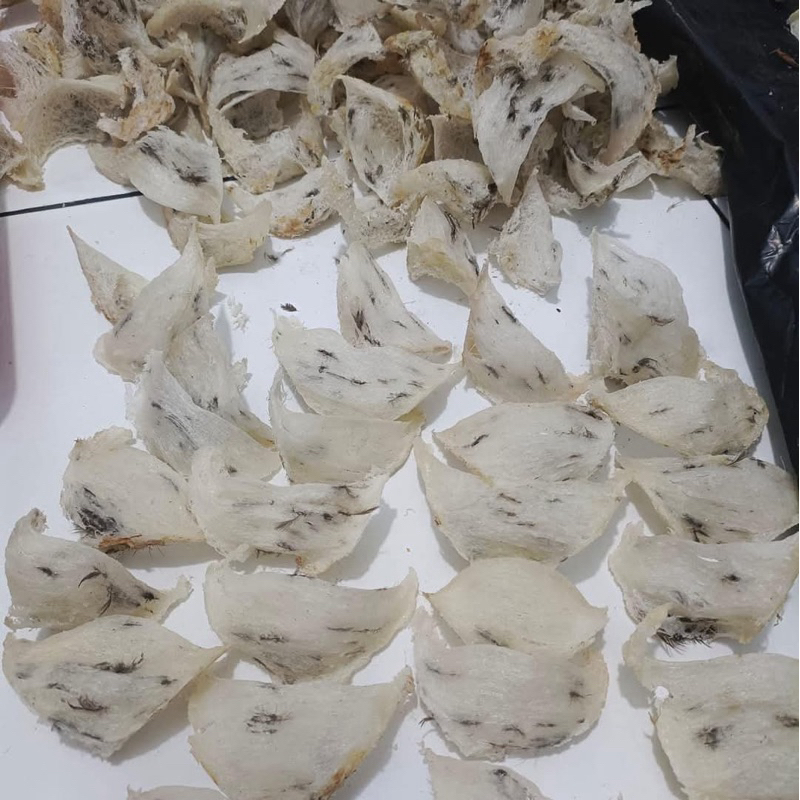 100gram// Sarang Burung Walet/ Sarang Walet/ Sarang Burung/ Bulu Ringan