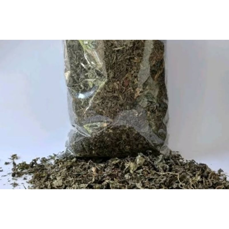 

Daun tempuyung daun tempuyung natural