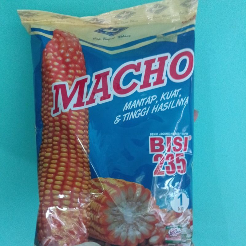 

JAGUNG BISI 235 MACHO