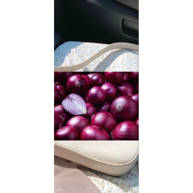 

Kotak kardus (ISI BAWANG MERAH 1 KG)