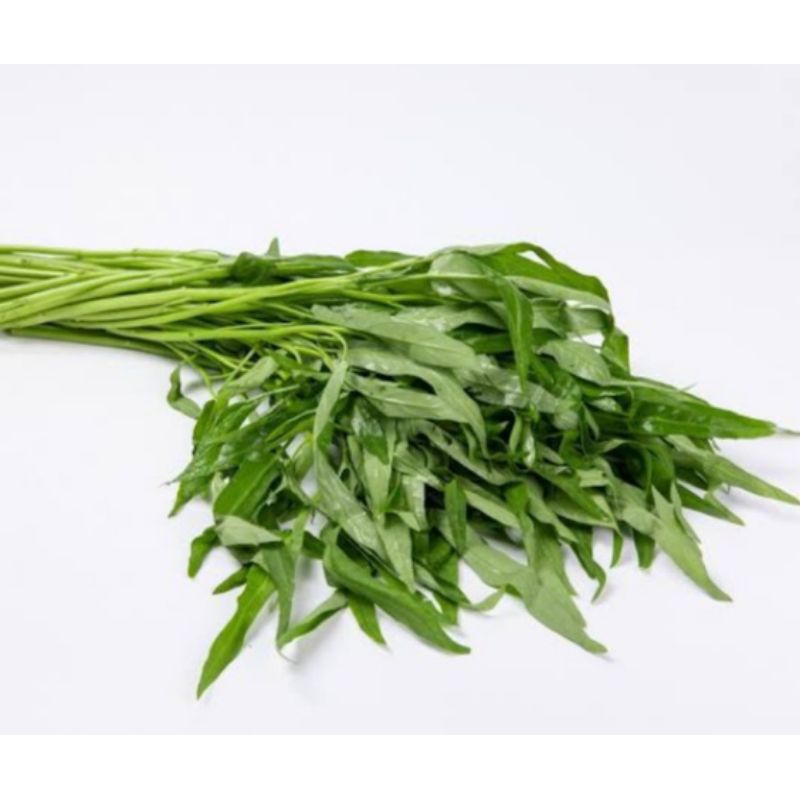 

KANGKUNG