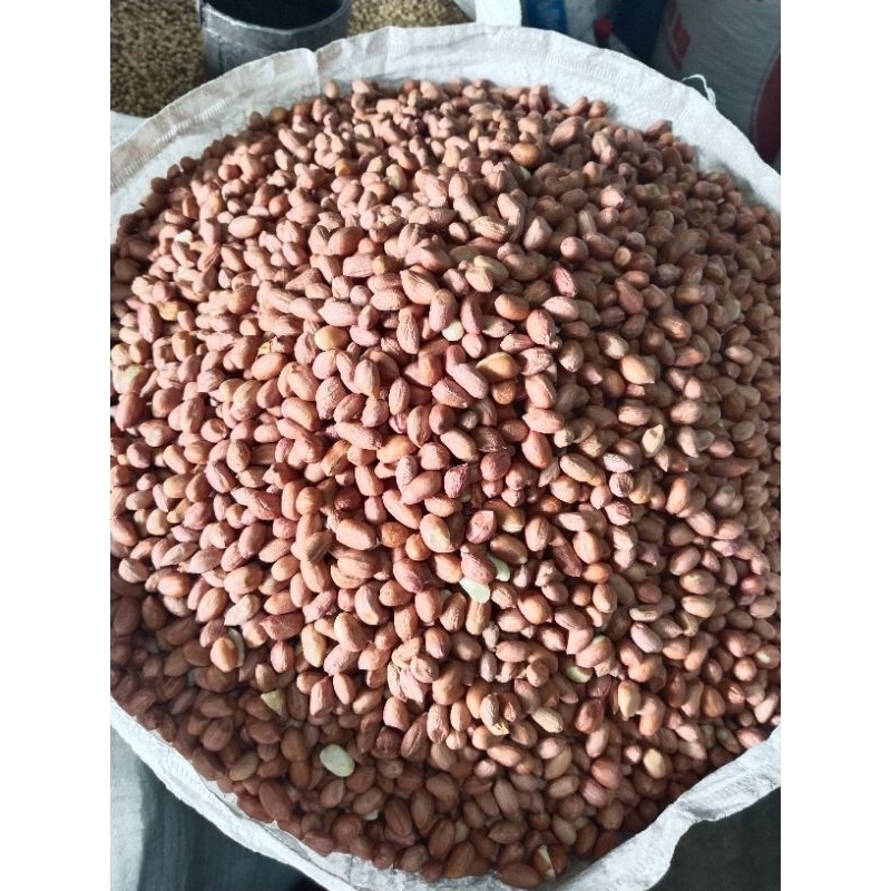 

Kacang tanah 500 gram