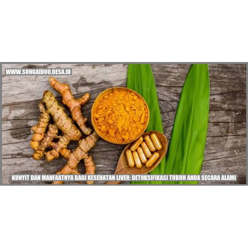 

Rempah rempah Indonesia kunyit kunir segar/turmeric