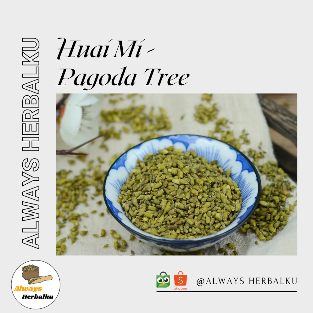 

Huai mi / Sophora Japonica / Scholar Tree / Japanese Pagoda Tree (250gr)