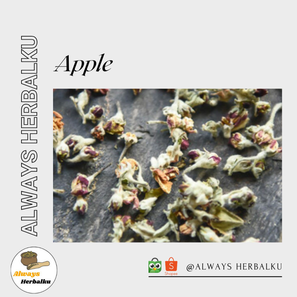 

Apple flower tea / bunga apple / bunga apel kering (50gr)