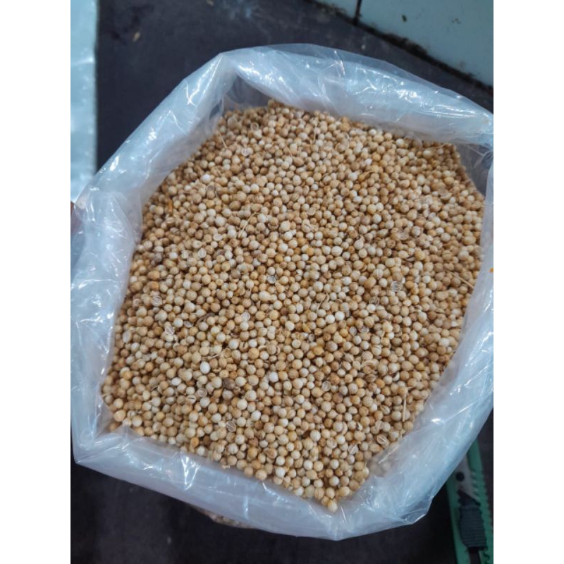 

ketumbar utuh 100gr