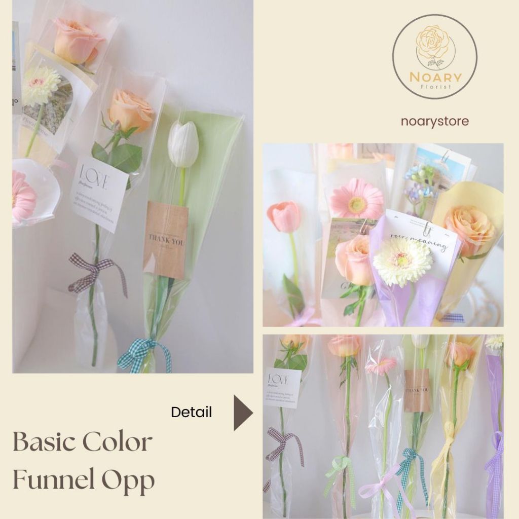 

BASIC COLOR FUNNEL OPP