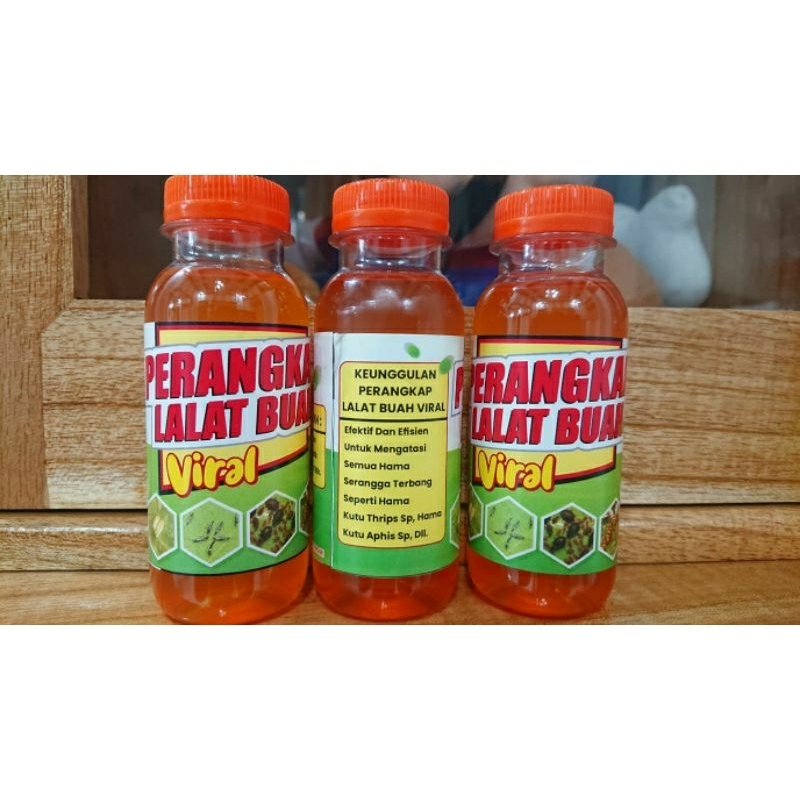 

perangkap lalat buah viral/perangkap lalat ampuh