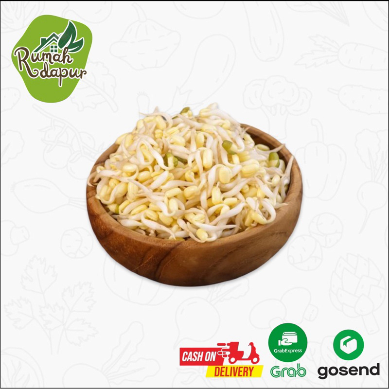 

TOGE PENDEK KECAMBAH